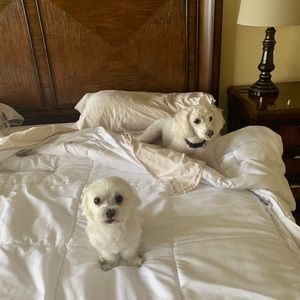 Meet your Posher, Julia